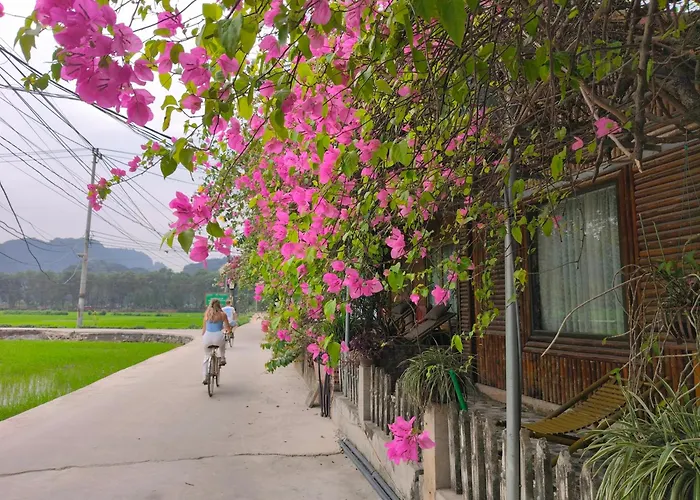 Tam Coc Sunshine Homestay
