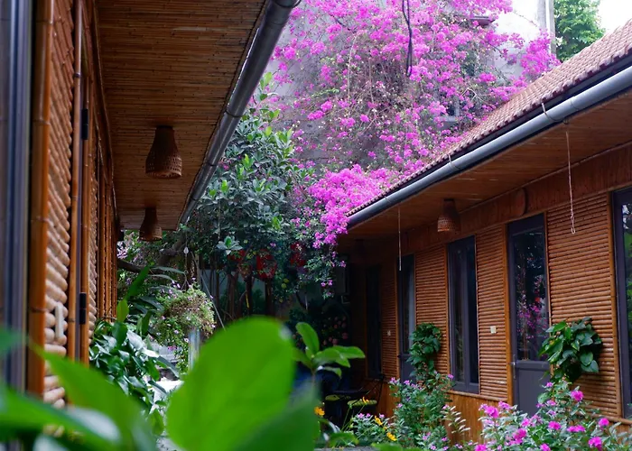 Tam Coc Viet Ha Homestay