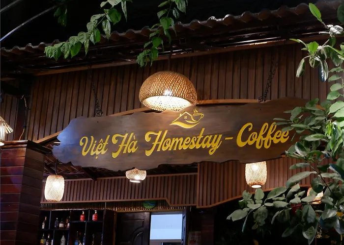 Tam Coc Viet Ha Homestay